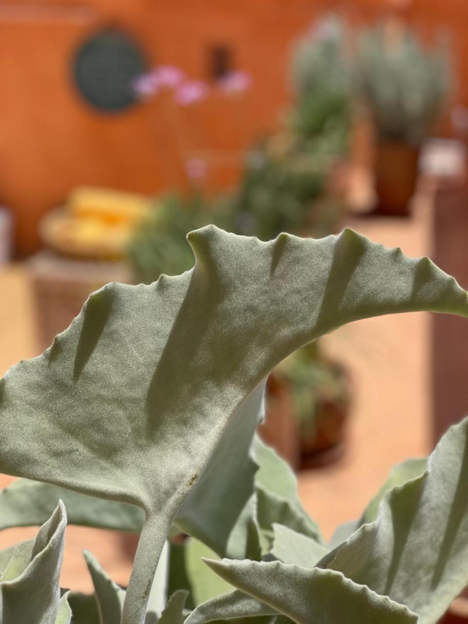 Dar El Qadi Hotel Marrakesh Luaran gambar