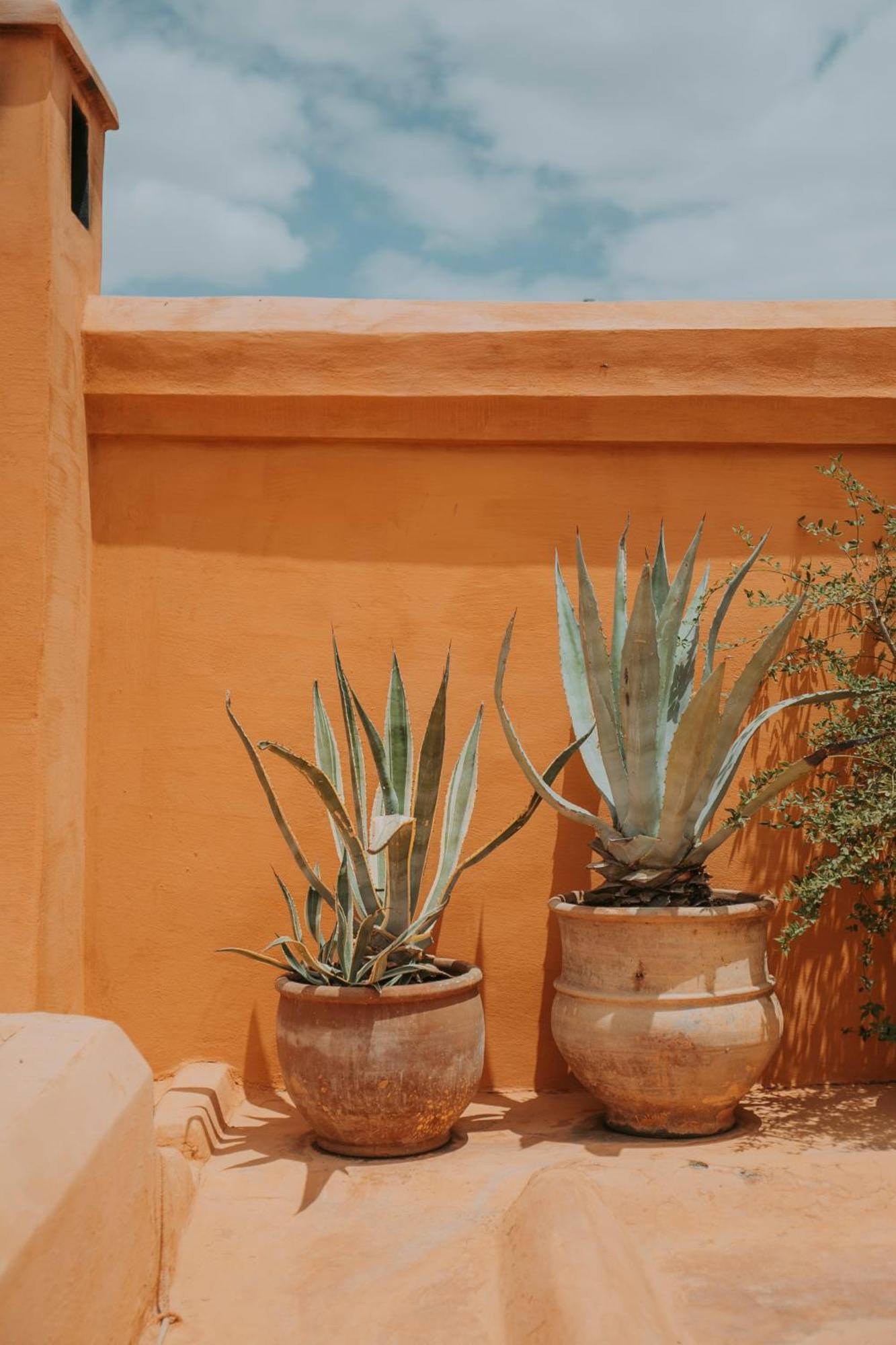 Dar El Qadi Hotel Marrakesh Luaran gambar