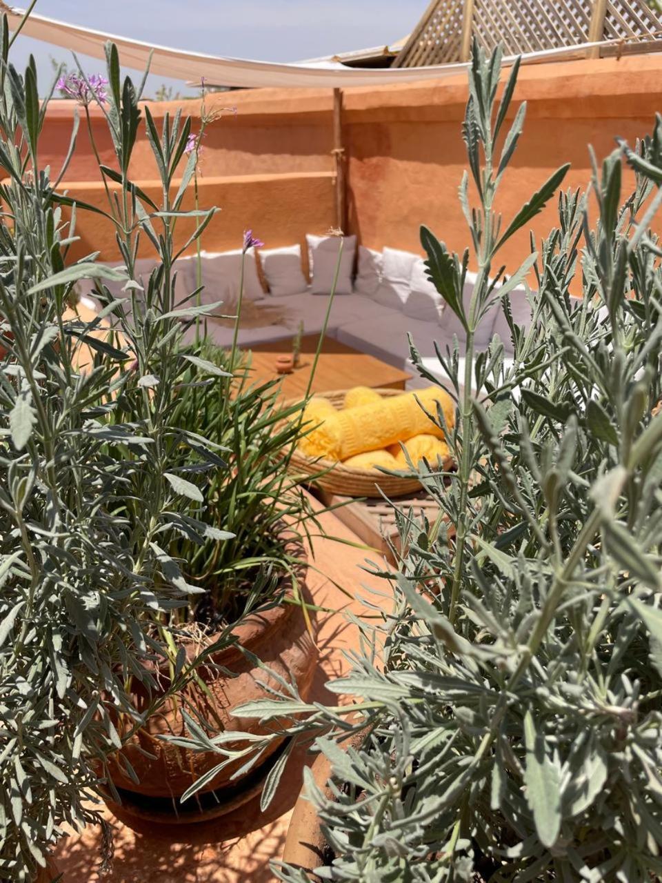Dar El Qadi Hotel Marrakesh Luaran gambar